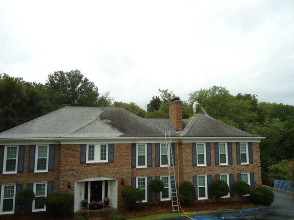 roof cleaning louisville 