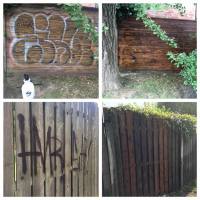 Graffiti Removal from wood fence